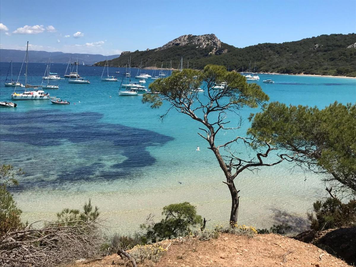 Suite indépendante standing, terrasse arborée et parking privé discret dans villa contemporaine avec piscine. La Valette-du-Var Extérieur photo