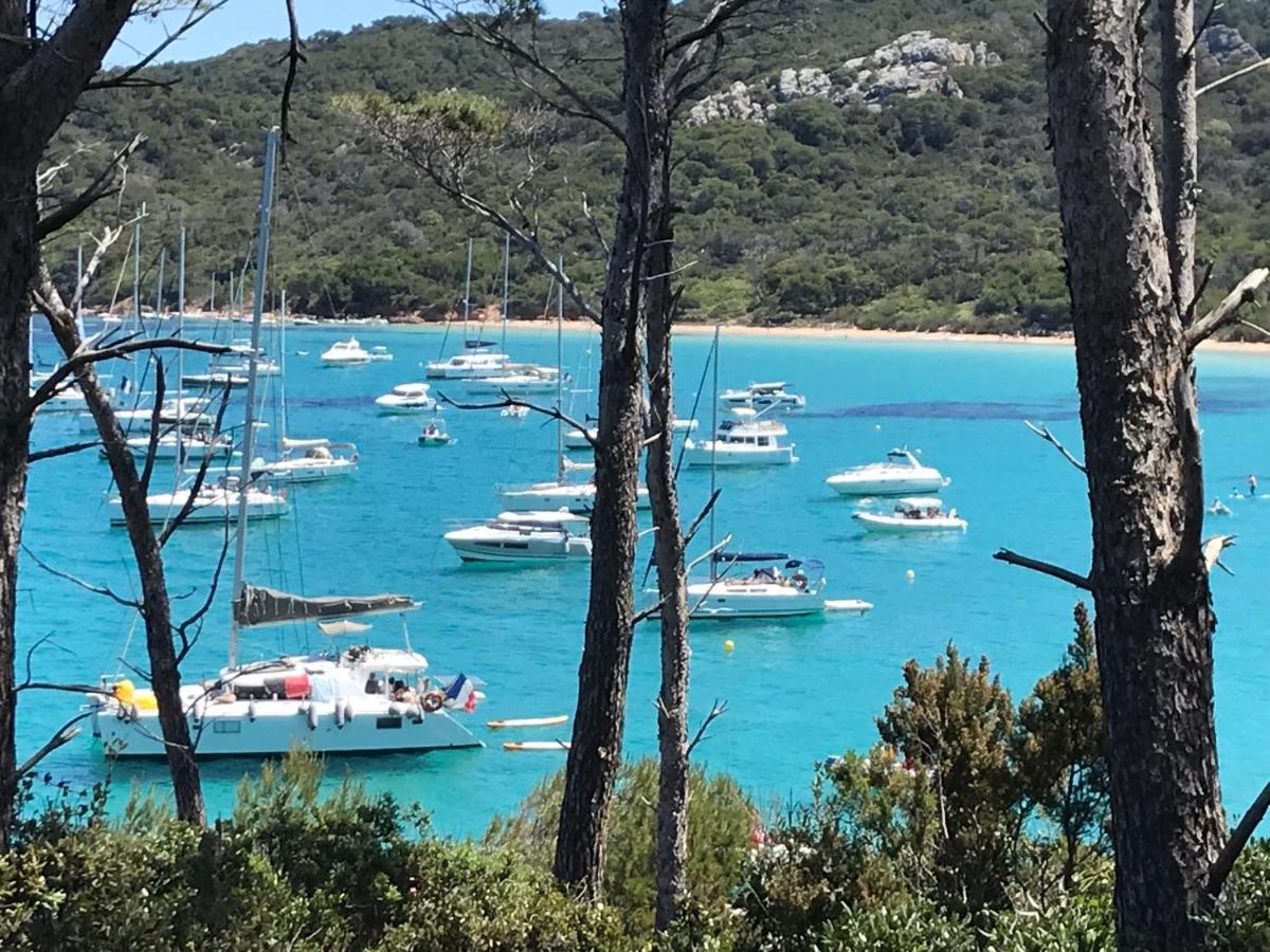 Suite indépendante standing, terrasse arborée et parking privé discret dans villa contemporaine avec piscine. La Valette-du-Var Extérieur photo